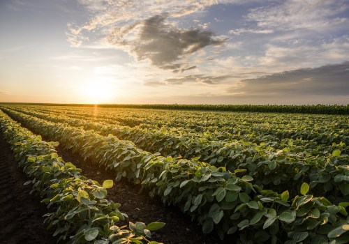 How does the agriculture industry in northern texas impact finance practices and investments?